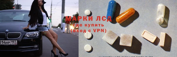 эйфоретик Алзамай