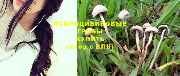 тгк Алексеевка