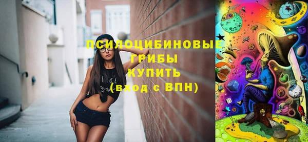 эйфоретик Алзамай