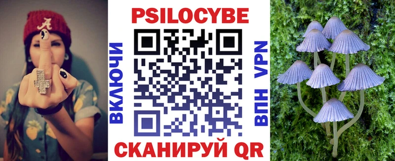 Псилоцибиновые грибы прущие грибы Берёзовский